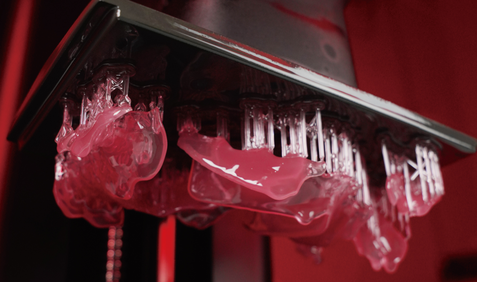 Flexi Denture