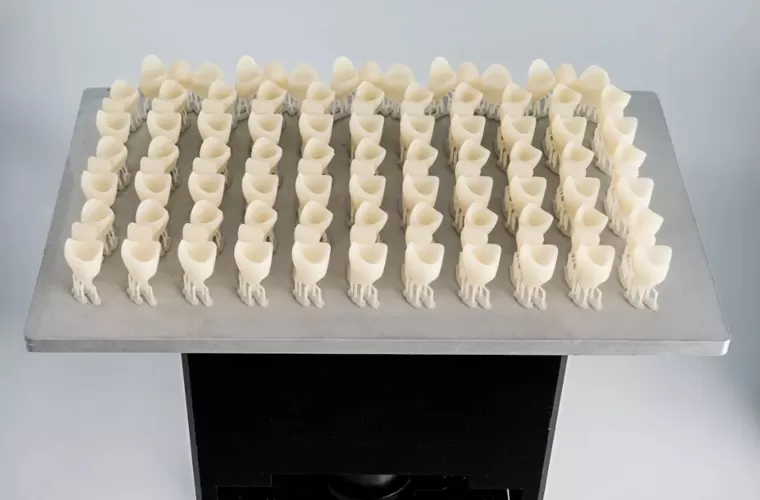 Temporary Crown & Bridge