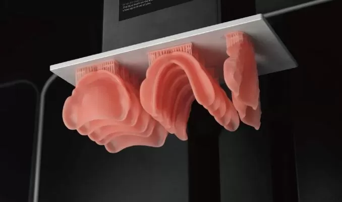 Denture Base Resin: DT Pink